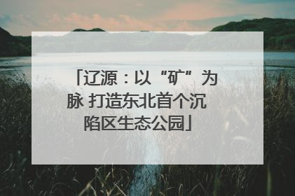 辽源：以“矿”为脉 打造东北首个沉陷区生态公园