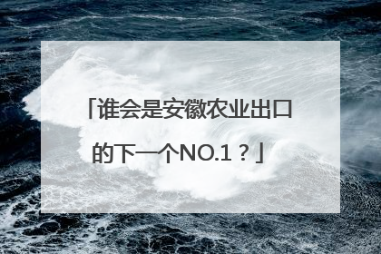 谁会是安徽农业出口的下一个NO.1？