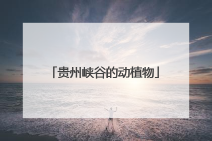 贵州峡谷的动植物
