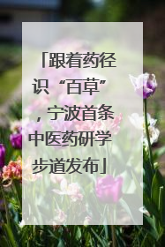跟着药径识“百草”，宁波首条中医药研学步道发布