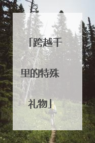 跨越千里的特殊礼物