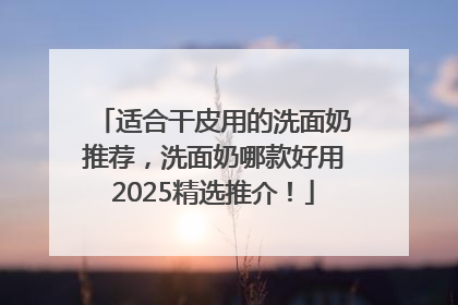 适合干皮用的洗面奶推荐，洗面奶哪款好用2025精选推介！