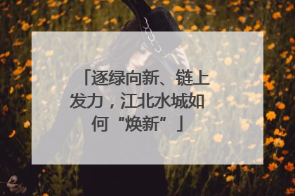 逐绿向新、链上发力，江北水城如何“焕新”
