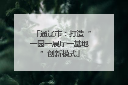 通辽市：打造“一园一展厅一基地”创新模式