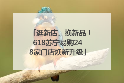 逛新店、换新品！618苏宁易购248家门店焕新升级