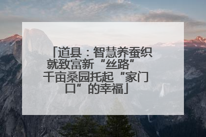 道县：智慧养蚕织就致富新“丝路” 千亩桑园托起“家门口”的幸福