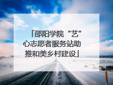 邵阳学院“艺”心志愿者服务站助推和美乡村建设