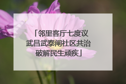 邻里客厅七度议 武昌武泰闸社区共治破解民生顽疾