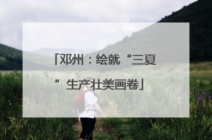 邓州：绘就“三夏”生产壮美画卷