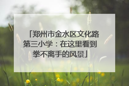 郑州市金水区文化路第三小学：在这里看到拳不离手的风景