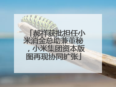 郝祥获批担任小米消金总助兼董秘，小米集团资本版图再现协同扩张