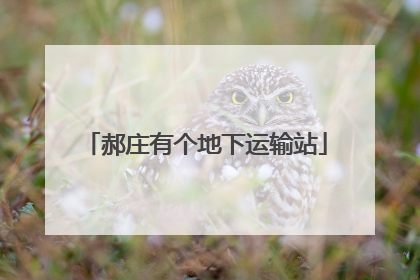 郝庄有个地下运输站