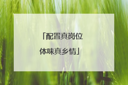 配置真岗位 体味真乡情