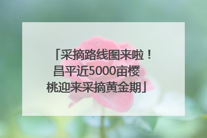 采摘路线图来啦！昌平近5000亩樱桃迎来采摘黄金期