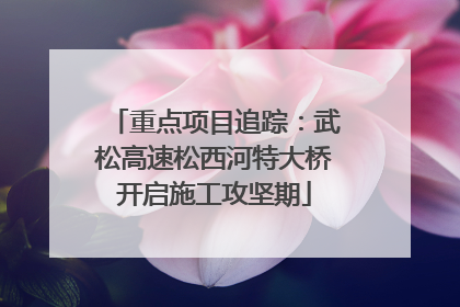 重点项目追踪：武松高速松西河特大桥开启施工攻坚期