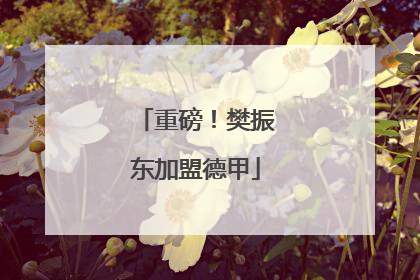 重磅！樊振东加盟德甲