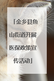 金乡县鱼山街道开展医保政策宣传活动