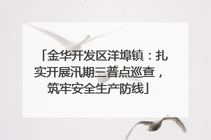金华开发区洋埠镇：扎实开展汛期三普点巡查，筑牢安全生产防线