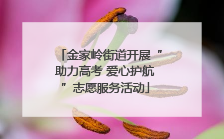 金家岭街道开展“助力高考 爱心护航”志愿服务活动