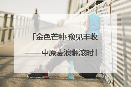金色芒种·豫见丰收——中原麦浪翻滚时