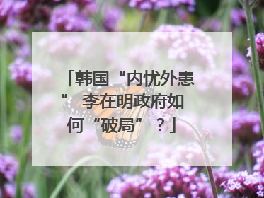 韩国“内忧外患” 李在明政府如何“破局”？
