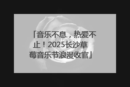 音乐不息，热爱不止！2025长沙草莓音乐节浪漫收官