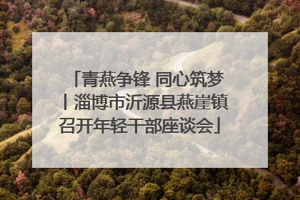 青燕争锋 同心筑梦丨淄博市沂源县燕崖镇召开年轻干部座谈会