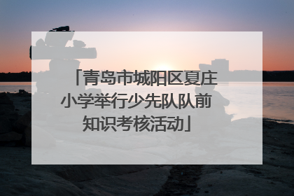 青岛市城阳区夏庄小学举行少先队队前知识考核活动