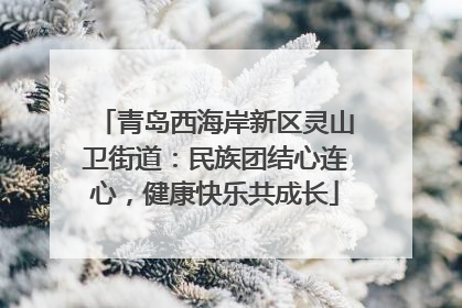 青岛西海岸新区灵山卫街道：民族团结心连心，健康快乐共成长