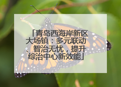 青岛西海岸新区大场镇：多元联动、智治无忧，提升综治中心新效能