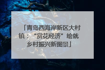 青岛西海岸新区大村镇：“赏花经济”绘就乡村振兴新图景