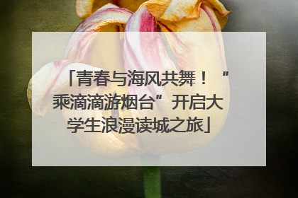 青春与海风共舞！“乘滴滴游烟台”开启大学生浪漫读城之旅