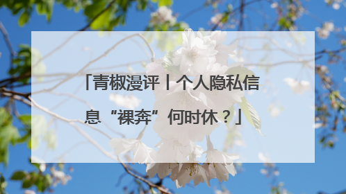 青椒漫评丨个人隐私信息“裸奔”何时休？