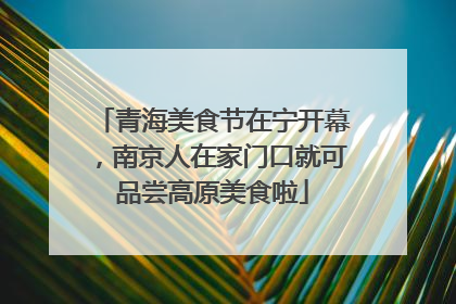 青海美食节在宁开幕，南京人在家门口就可品尝高原美食啦