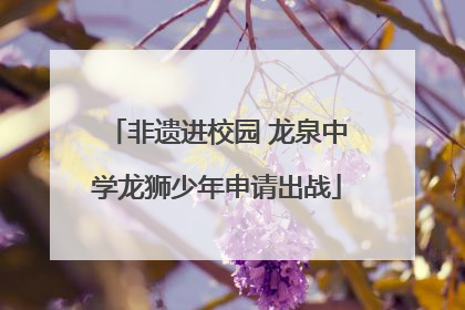 非遗进校园 龙泉中学龙狮少年申请出战