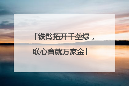 铁臂拓开千垄绿，联心育就万家金