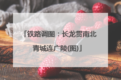铁路调图：长龙贯南北 青城连广陵(图)