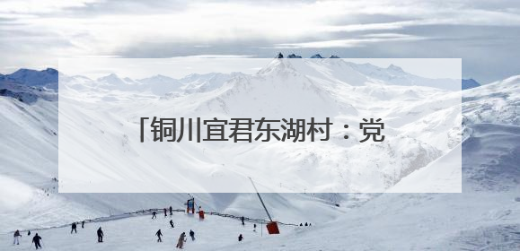 铜川宜君东湖村：党群共建让乡村从“一时美”变“持久美”