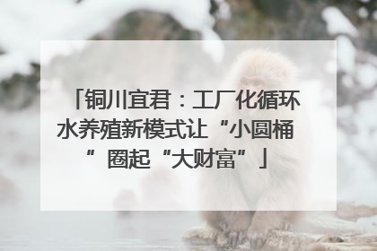 铜川宜君：工厂化循环水养殖新模式让“小圆桶”圈起“大财富”