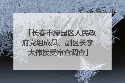 长春市绿园区人民政府党组成员、副区长李大伟接受审查调查