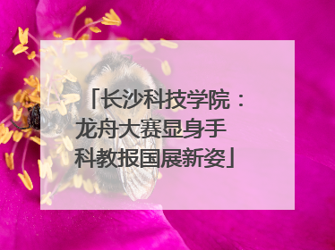 长沙科技学院：龙舟大赛显身手 科教报国展新姿