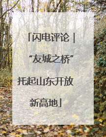 闪电评论｜“友城之桥”托起山东开放新高地