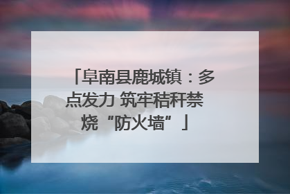 阜南县鹿城镇：多点发力 筑牢秸秆禁烧“防火墙”