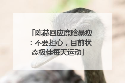 陈赫回应鹿晗暴瘦：不要担心，目前状态极佳每天运动
