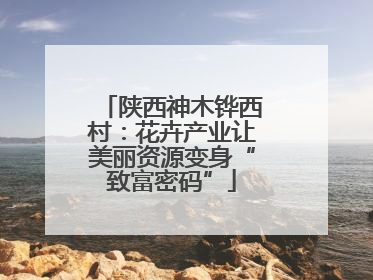 陕西神木铧西村：花卉产业让美丽资源变身“致富密码”