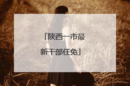 陕西一市最新干部任免