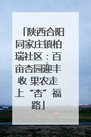 陕西合阳同家庄镇柏瑞社区：百亩杏园迎丰收 果农走上“杏”福路
