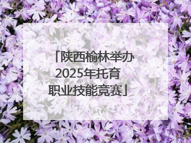 陕西榆林举办2025年托育职业技能竞赛