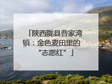 陕西陇县曹家湾镇：金色麦田里的“志愿红”