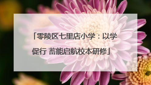 零陵区七里店小学：以学促行 蓄能启航校本研修